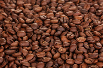 Coffee beans close-up