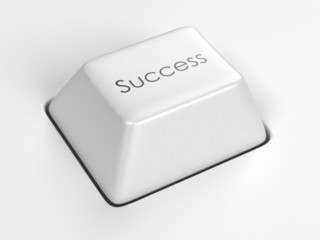 Success Button on White Surface