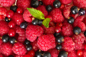 ripe berries with mint, close up.