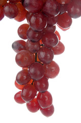 Bunch of red grapes