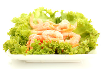 Boiled shrimps with lettuce leaves on plate, isolated on white