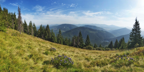 Panorama of the lake Synevir in the Carpathians.