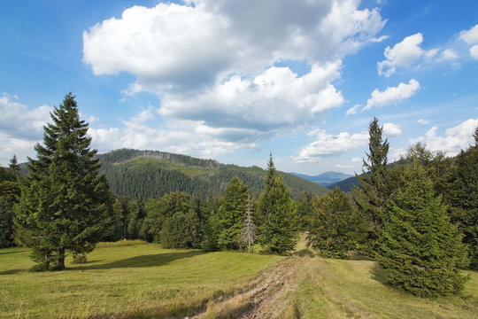 Carpathian mountain landscape road close up.