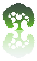 Green Tree Silhouette