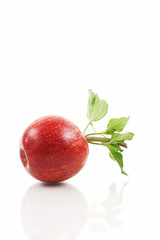 Apple on white background