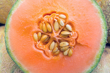 Detail of a honeydew melon