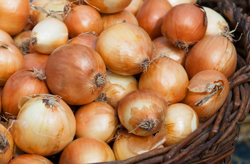 Frische Zwiebeln liegen in einem Holzkorb, Rezept, Kochen, Vegan