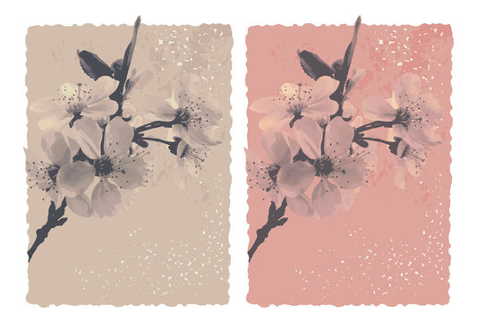 vintage background with plum blossom