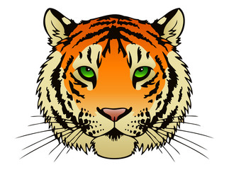 Tiger Head