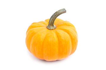 Decorative pumpkin squash isolated on white background