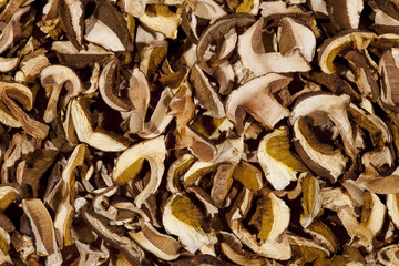 dried mushroom background