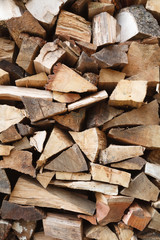 Wood pile