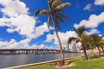 Miami Skyline