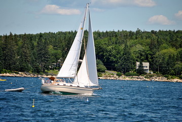 Obraz premium Sailboat on the Ocean