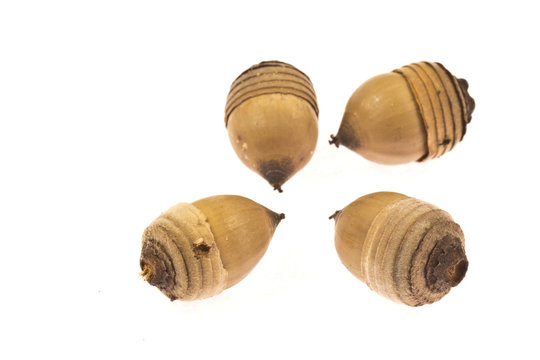 acoms