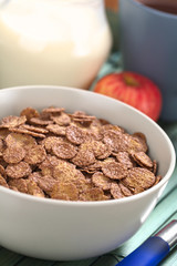 Bowl of chocolate corn flakes cereal