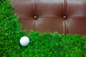 golf ball and green grass field