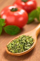 Dried oregano leaves on wooden spoon