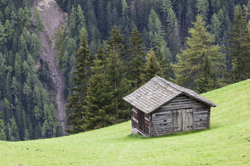 Fototapeta na wymiar Alp rzucić na stoku