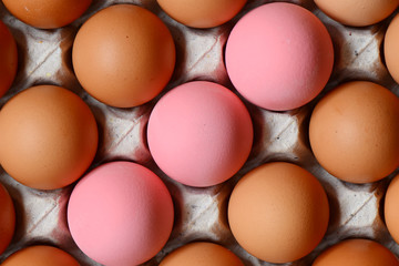 Eggs on tray in supermarket.