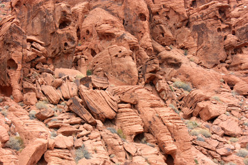 Nevada - Petroglyph Canyon