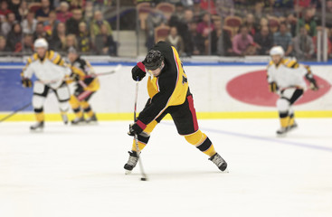 Obraz premium Ice Hockey Slap Shot
