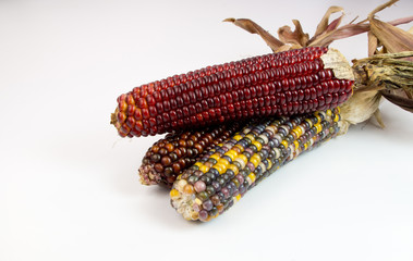 Decorative corn