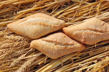 bread and wheat