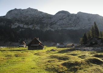 mountain meadow Planina V Lazu in Julian Alps in Slovenia