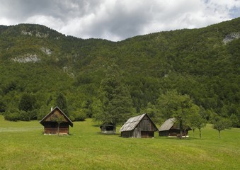 Fototapeta na wymiar łąki górskie w Voje w Alpach Julijskich w Słowenii