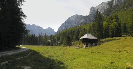 mountain meadow in Krma valley in Julian Alps in Slovenia