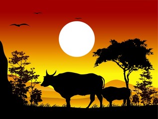 beauty cow silhouettes with landscape background