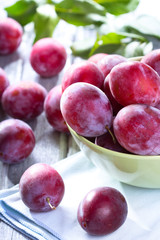 fresh pulms