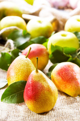 fresh pears and apples