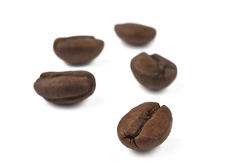 coffee beans isolated