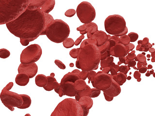 Red Blood Cells isolated on white background