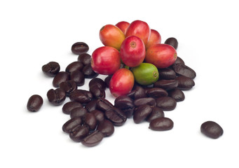 coffee beans .
