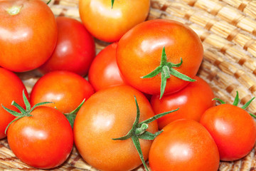 frisch geerntete Tomaten