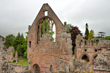Fototapeta na wymiar Ruins of Dryburgh Abbey