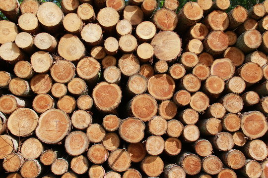 Holstapel