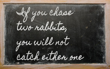 expression -  If you chase two rabbits, you will not catch eithe