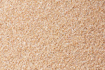 wheat background