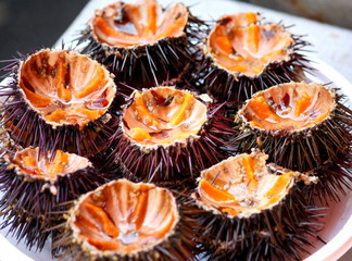 Ricci di mare