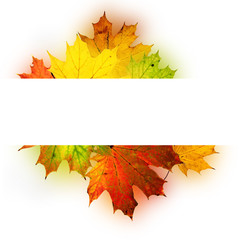 Autumn background