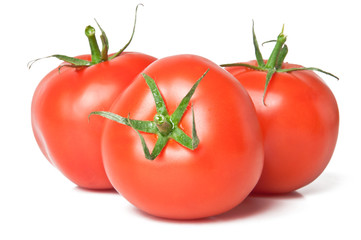 tomatoes on white background 