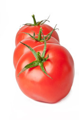 tomatoes on white background 