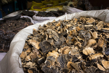 champignons chinois sur le marché