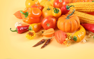 multi autumn