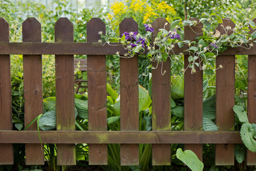 Wooden fence at a verdant garden full of plants