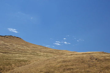 Empty golden rolling hillside under summer blue skies